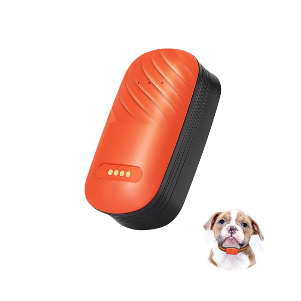 Tracker GPS 4G pentru Animale, Impermeabil, Localizare in Timp Real pentru Caini si Pisici, cu Aplicatie Gratuita