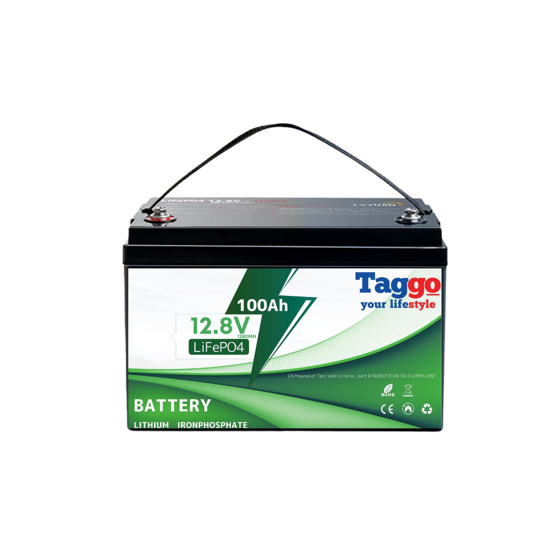 Baterie LITHIUM LifePo4 Acumulator 100Ah cu BMS pentru Panouri solare