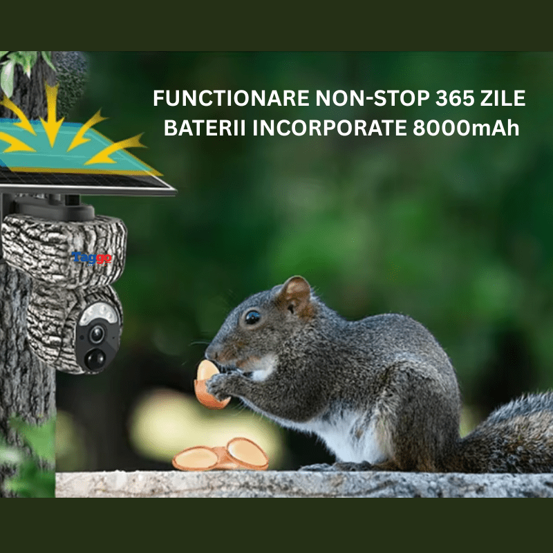 Camera Solara 4G 4MP cu GPS, Tracking Uman si Baterie 8000mAh