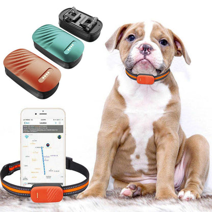 Tracker GPS 4G pentru Animale, Impermeabil, Localizare in Timp Real pentru Caini si Pisici, cu Aplicatie Gratuita
