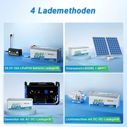 Baterie solara LITHIUM Redodo 24V 100Ah LiFePO4 cu BMS 100A, 2560Wh
