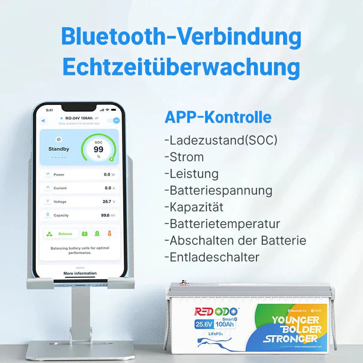 Acumulator Redodo 24V 100Ah 2.56kWh LiFePO4 cu Bluetooth si Monitorizare Prin Aplicatie