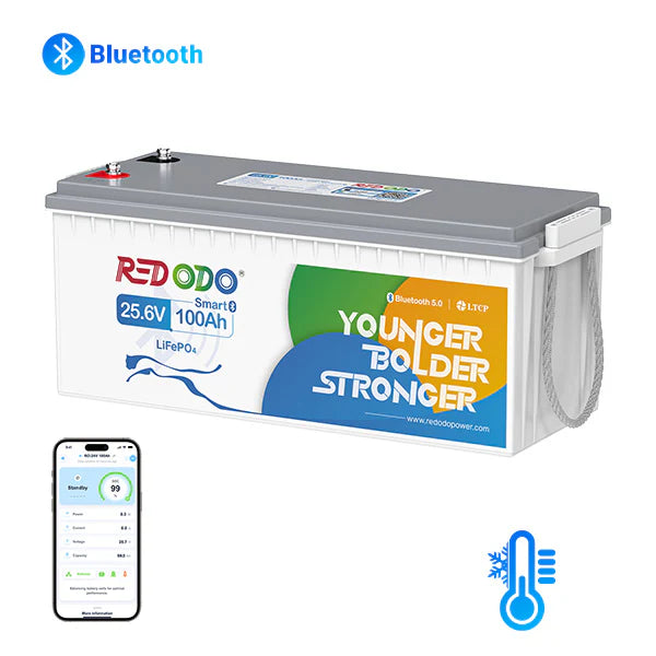 Acumulator Redodo 24V 100Ah 2.56kWh LiFePO4 cu Bluetooth si Monitorizare Prin Aplicatie