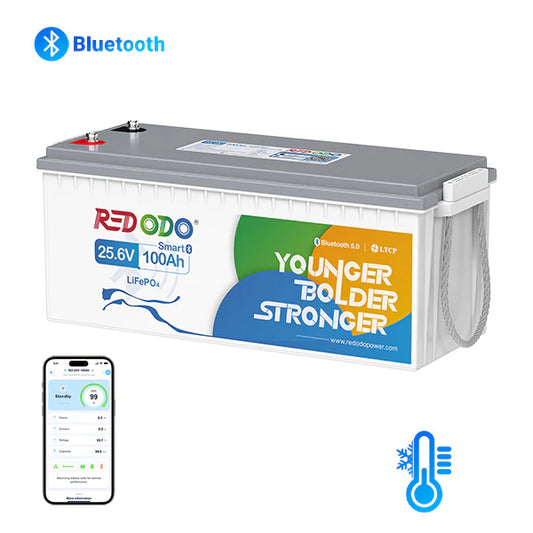 Acumulator Redodo 24V 100Ah 2.56kWh LiFePO4 cu Bluetooth si Monitorizare Prin Aplicatie