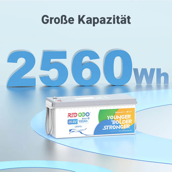 Acumulator Redodo 24V 100Ah 2.56kWh LiFePO4 cu Bluetooth si Monitorizare Prin Aplicatie