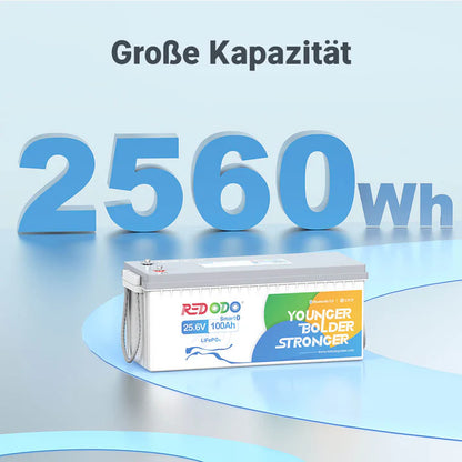Acumulator Redodo 24V 100Ah 2.56kWh LiFePO4 cu Bluetooth si Monitorizare Prin Aplicatie