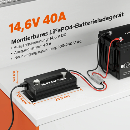 Incarcator Redresor LiTime 12V (14,6V) 40A pentru baterii LiFePO4, montabil, cu maner