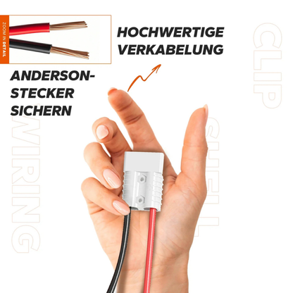 Incarcator Redresor LiTime 12V (14,6V) 40A pentru baterii LiFePO4, montabil, cu maner